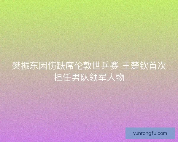 樊振东因伤缺席伦敦世乒赛 王楚钦首次担任男队领军人物